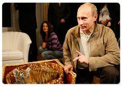 Vladimir Putin showed journalists a Siberian tiger cub he received for his birthday|10 october, 2008|10:00