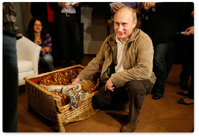 On Thursday evening, Prime Minister Vladimir Putin showed journalists a two month-old Siberian tiger cub he received for his birthday