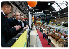 Prime Minister Vladimir Putin visited the 10th Russian agro-industrial exhibition “Golden Autumn” at the All-Russia Exhibition Centre|11 october, 2008|16:00