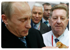 Prime Minister Vladimir Putin visited the 10th Russian agro-industrial exhibition “Golden Autumn” at the All-Russia Exhibition Centre|11 october, 2008|16:00