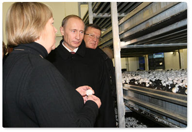 Prime Minister Vladimir Putin visited the Prinevskoye Pedigree Farm, one of the biggest agricultural enterprises in the Leningrad Region