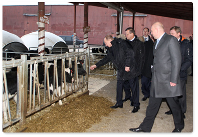 Prime Minister Vladimir Putin visited the dairy complex Yershovo in Odintsovo near Moscow