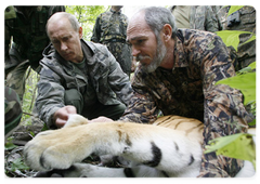 Prime Minister Vladimir Putin visited the Ussuri Nature Reserve|1 september, 2008|13:01
