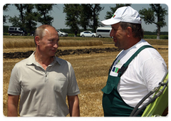 Prime Minister Vladimir Putin in a wheat field of the Agrocomplex Company|3 july, 2009|16:24