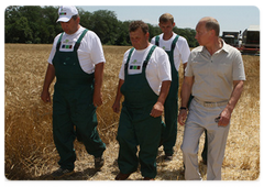Prime Minister Vladimir Putin in a wheat field of the Agrocomplex Company|3 july, 2009|16:24