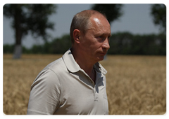 Премьер-министр В.Путин осмотрел пшеничное поле ЗАО «Фирма»Агрокомплекс»|3 июля, 2009|16:40