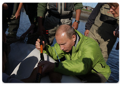 Владимир Путин в рамках рабочей поездки в Хабаровский край побывал на острове Чкалова в Охотском море|31 июля, 2009|12:05