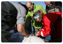 Владимир Путин в рамках рабочей поездки в Хабаровский край побывал на острове Чкалова в Охотском море|31 июля, 2009|12:05