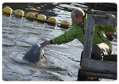 Владимир Путин в рамках рабочей поездки в Хабаровский край побывал на острове Чкалова в Охотском море|31 июля, 2009|12:11