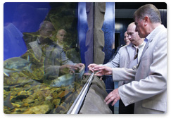 Prime Minister Vladimir Putin visited the Baikal Museum at the Irkutsk Scientific Centre of the Siberian Branch of the Russian Academy of Sciences in Listvyanka village