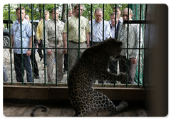 Vladimir Putin, Jean-Claude Killy and Gilbert Felli let two leopards delivered by air from Turkmenistan out of a cage and into an open-air enclosure|19 september, 2009|21:01