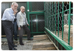Vladimir Putin, Jean-Claude Killy and Gilbert Felli let two leopards delivered by air from Turkmenistan out of a cage and into an open-air enclosure|19 september, 2009|21:08