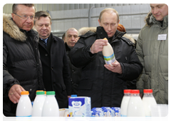 Prime Minister Vladimir Putin at the Grazhdansky cattle-breeding plant in Zaporozhskoye, Leningrad Region|14 january, 2010|17:50