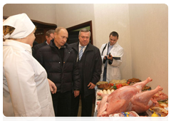 Prime Minister Vladimir Putin visiting the agricultural holding company Eurodon|22 october, 2010|20:55