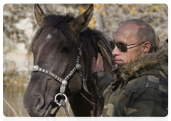 Vladimir Putin’s nature reserve trips|29 october, 2010|22:57