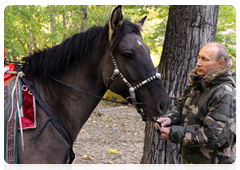 Vladimir Putin’s nature reserve trips|29 october, 2010|22:57