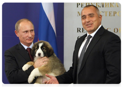 Bulgarian Prime Minister Boyko Borissov presenting Prime Minister Vladimir Putin with a Bulgarian Shepherd Dog after the media conference|13 november, 2010|21:24