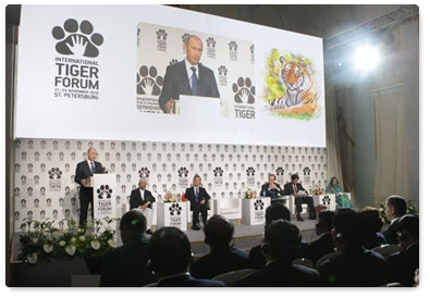 Prime Minister Vladimir Putin takes part in the International Tiger Conservation Forum