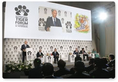 Prime Minister Vladimir Putin takes part in the International Tiger Conservation Forum