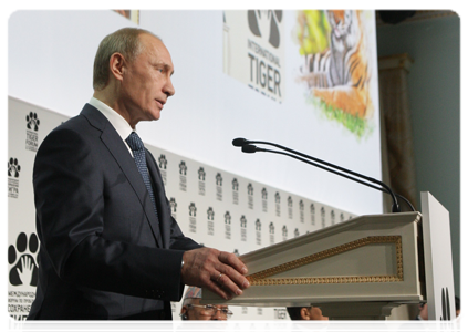 Prime Minister Vladimir Putin at the International Tiger Conservation Forum|23 november, 2010|17:48