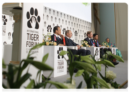 Prime Minister Vladimir Putin at the International Tiger Conservation Forum|23 november, 2010|17:49