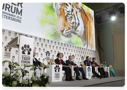 Prime Minister Vladimir Putin at the International Tiger Conservation Forum|23 november, 2010|17:49