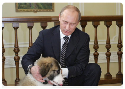 Prime Minister Vladimir Putin picks a name for his new pet dog|9 december, 2010|21:57