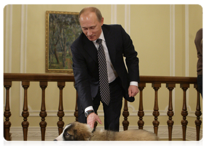 Prime Minister Vladimir Putin picks a name for his new pet dog|9 december, 2010|21:58