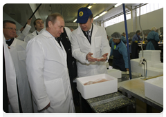 Prime Minister Vladimir Putin visits one of northwestern Russia’s largest fish processing plants during a working trip to the Murmansk Region|17 april, 2010|13:05