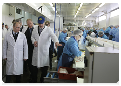 Prime Minister Vladimir Putin visits one of northwestern Russia’s largest fish processing plants during a working trip to the Murmansk Region|17 april, 2010|13:18