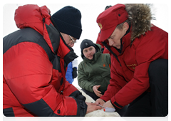 Vladimir Putin and biologists attaching a GPS collar on a polar bear caught in a special trap|29 april, 2010|09:52