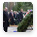 Председатель Правительства Российской Федерации В.В.Путин вместе с Премьер-министром Польши Д.Туском посетил мемориальный комплекс «Катынь»
