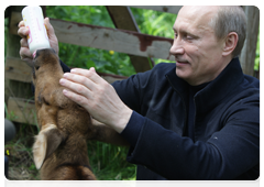 Prime Minister Vladimir Putin visiting Losiny Ostrov National Park in north-east Moscow ahead of Environmentalist’s Day and World Environment Day|5 june, 2010|11:00