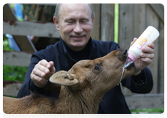 Prime Minister Vladimir Putin visiting Losiny Ostrov National Park in north-east Moscow ahead of Environmentalist’s Day and World Environment Day|5 june, 2010|11:00