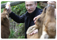 Prime Minister Vladimir Putin visiting Losiny Ostrov National Park in north-east Moscow ahead of Environmentalist’s Day and World Environment Day|5 june, 2010|11:00