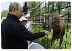 Prime Minister Vladimir Putin visiting Losiny Ostrov National Park in north-east Moscow ahead of Environmentalist’s Day and World Environment Day|5 june, 2010|11:00