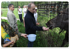 Prime Minister Vladimir Putin visiting Losiny Ostrov National Park in north-east Moscow ahead of Environmentalist’s Day and World Environment Day|5 june, 2010|11:00