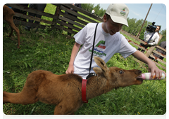 Prime Minister Vladimir Putin visiting Losiny Ostrov National Park in north-east Moscow ahead of Environmentalist’s Day and World Environment Day|5 june, 2010|11:00