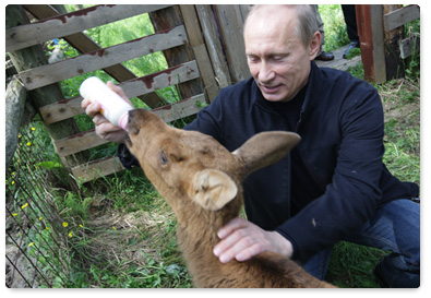 Prime Minister Vladimir Putin visits Losiny Ostrov National Park in north-east Moscow ahead of Environmentalist’s Day and World Environment Day