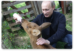 Prime Minister Vladimir Putin visits Losiny Ostrov National Park in north-east Moscow ahead of Environmentalist’s Day and World Environment Day