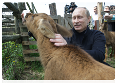 Prime Minister Vladimir Putin visiting Losiny Ostrov National Park in north-east Moscow ahead of Environmentalist’s Day and World Environment Day|5 june, 2010|11:00