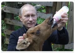 Prime Minister Vladimir Putin visiting Losiny Ostrov National Park in north-east Moscow ahead of Environmentalist’s Day and World Environment Day|5 june, 2010|11:00