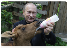 Prime Minister Vladimir Putin visiting Losiny Ostrov National Park in north-east Moscow ahead of Environmentalist’s Day and World Environment Day|5 june, 2010|11:00