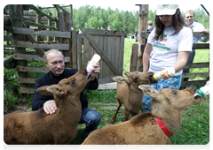 Prime Minister Vladimir Putin visiting Losiny Ostrov National Park in north-east Moscow ahead of Environmentalist’s Day and World Environment Day|5 june, 2010|11:00