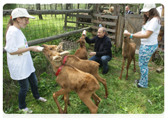 Prime Minister Vladimir Putin visiting Losiny Ostrov National Park in north-east Moscow ahead of Environmentalist’s Day and World Environment Day|5 june, 2010|11:00