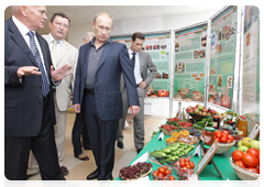 Prime Minister Vladimir Putin visiting a community centre in the village of Tulinovka, Tambov Region|2 july, 2010|20:02