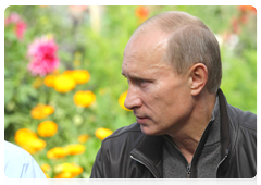 Prime Minister Vladimir Putin talking to residents of the Aksyonovo-Zilovskoye village|30 august, 2010|12:29