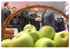 Prime Minister Vladimir Putin visiting the pavilions of the IX International Investment Forum in Sochi|17 september, 2010|16:35