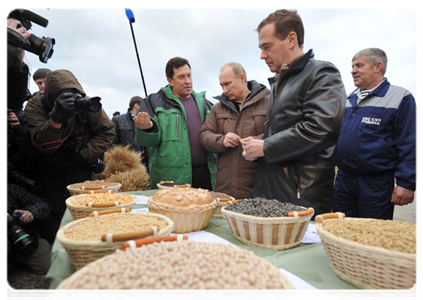 President Dmitry Medvedev and Prime Minister Vladimir Putin in the fields to see this year’s corn crops|25 october, 2011|18:19