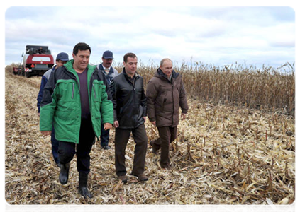 President Dmitry Medvedev and Prime Minister Vladimir Putin in the fields to see this year’s corn crops|25 october, 2011|19:15